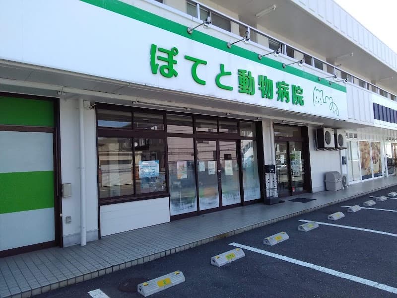 ぽてと動物病院