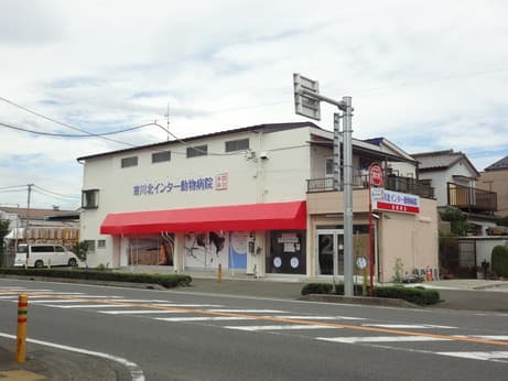 寒川北インター動物病院
