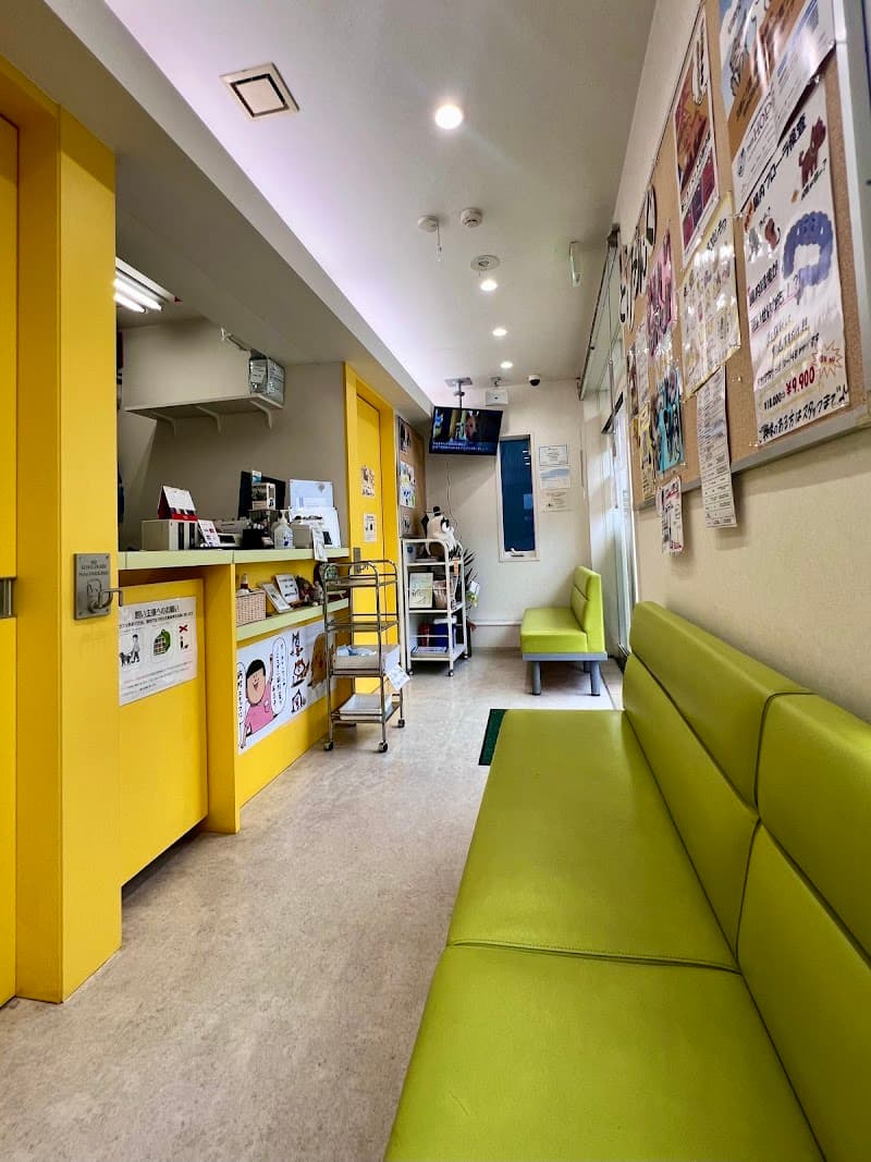 くまの犬猫病院