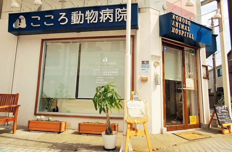 こころ動物病院