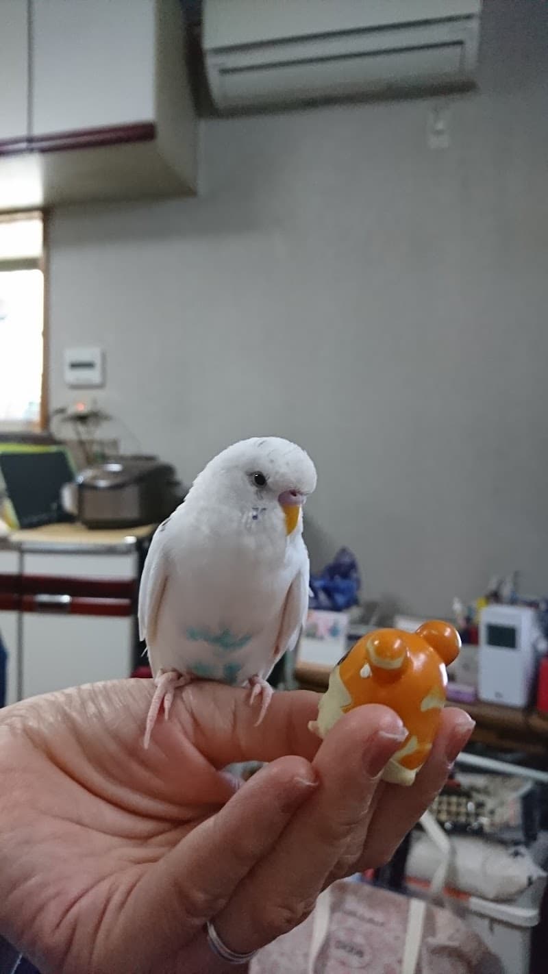 川口動物病院