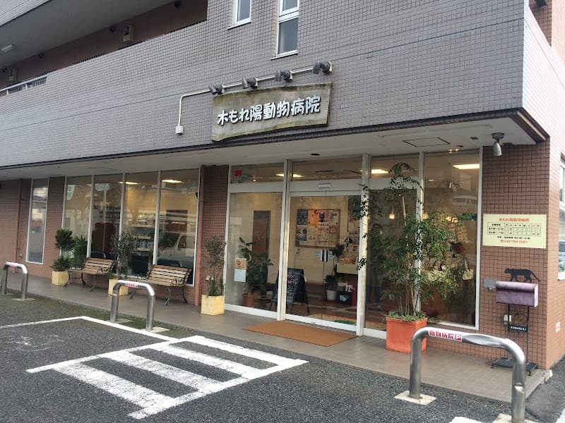 木もれ陽動物病院