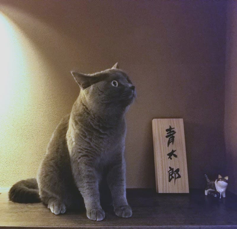 湯河原動物病院