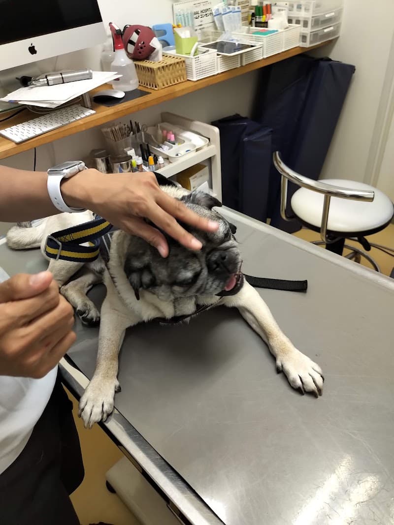 アニマルホスピタルくみやま