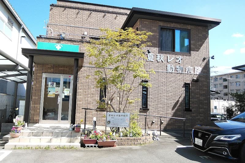 夏秋レオ動物病院