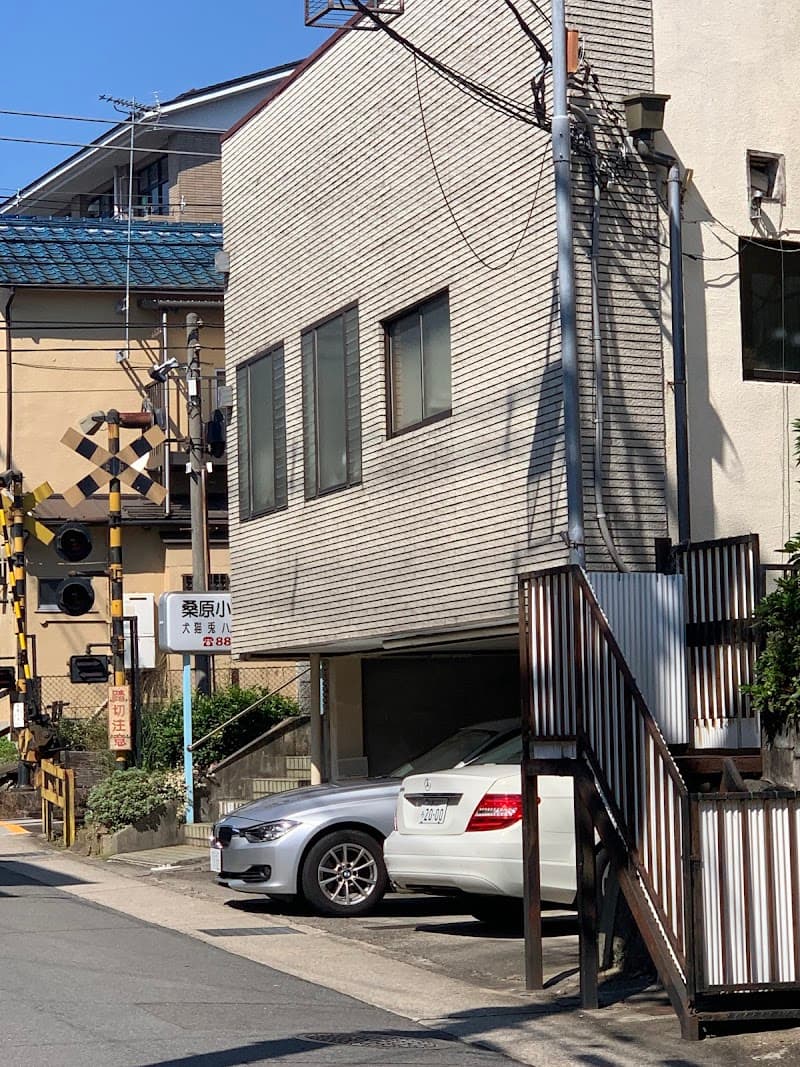 桑原犬猫病院
