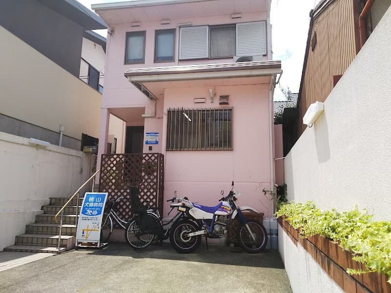 桃山犬猫病院