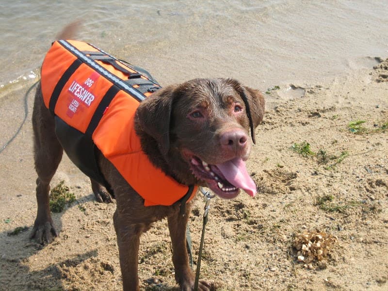 はっとり動物病院
