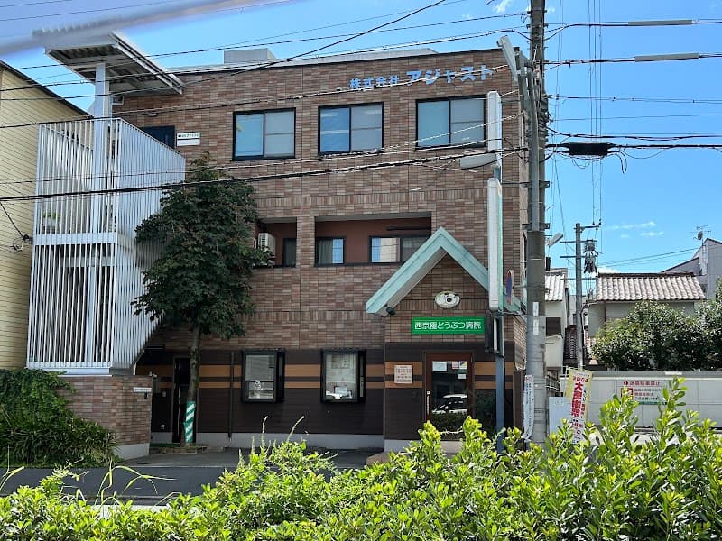 西京極どうぶつ病院