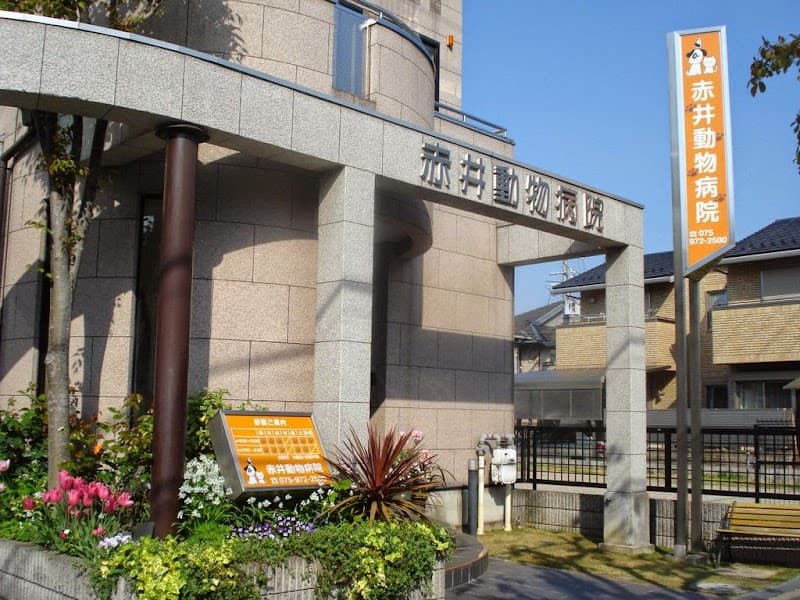 赤井動物病院
