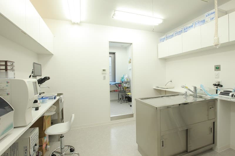 松井山手動物病院