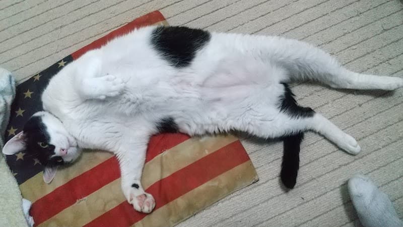 ユキ動物病院