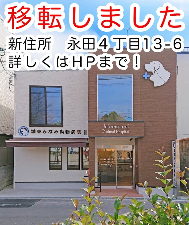 城東みなみ動物病院