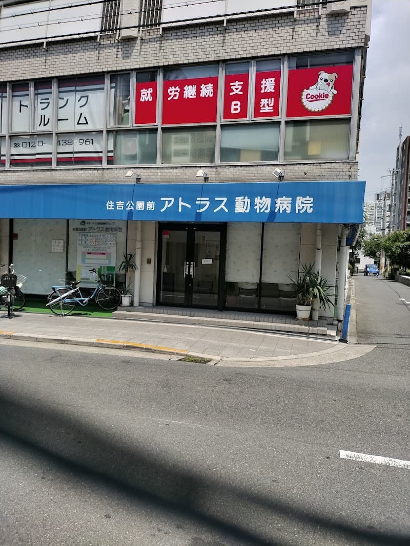 アトラス動物病院