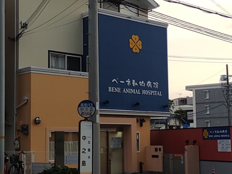 ベーネ動物病院