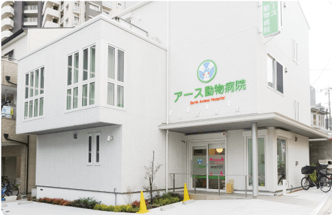 アース動物病院