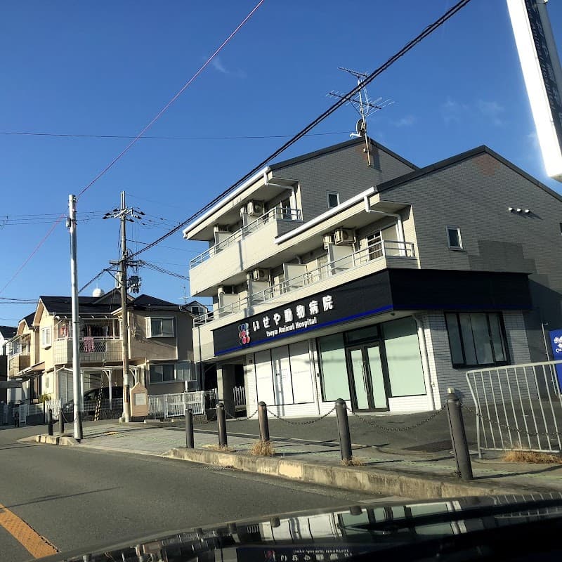 いせや動物病院