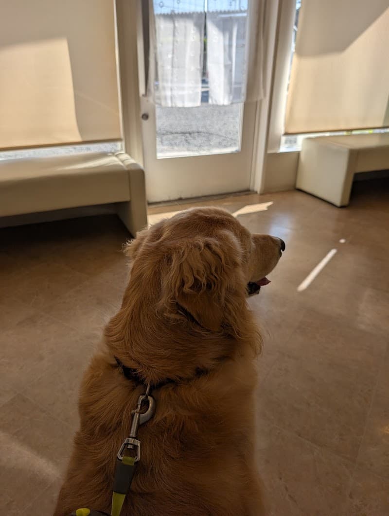 なえむら動物クリニック