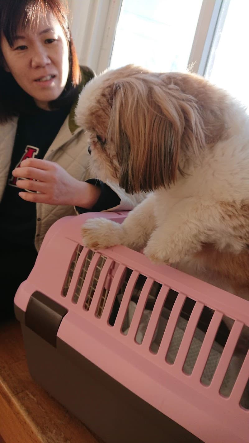 なるお動物病院