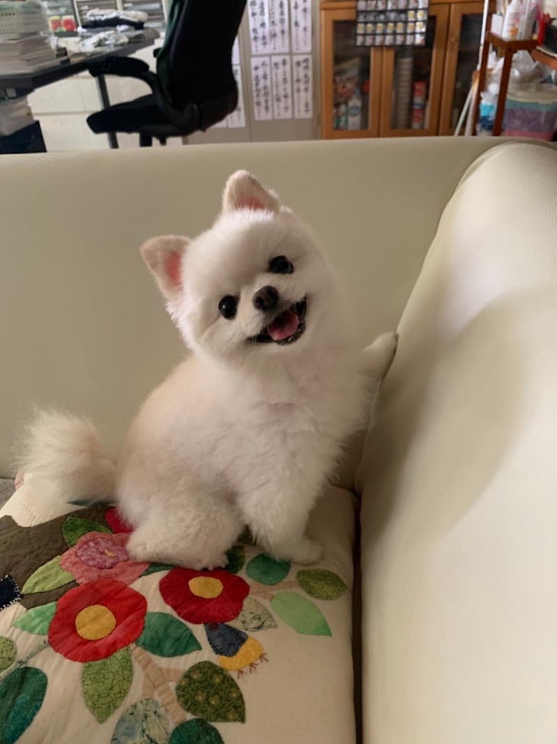 タキダニ動物病院