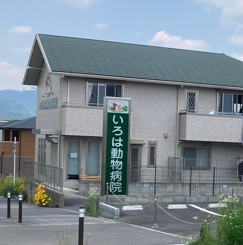 いろは動物病院