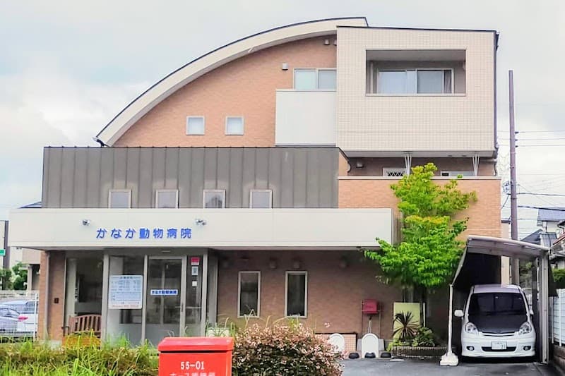 かなか動物病院