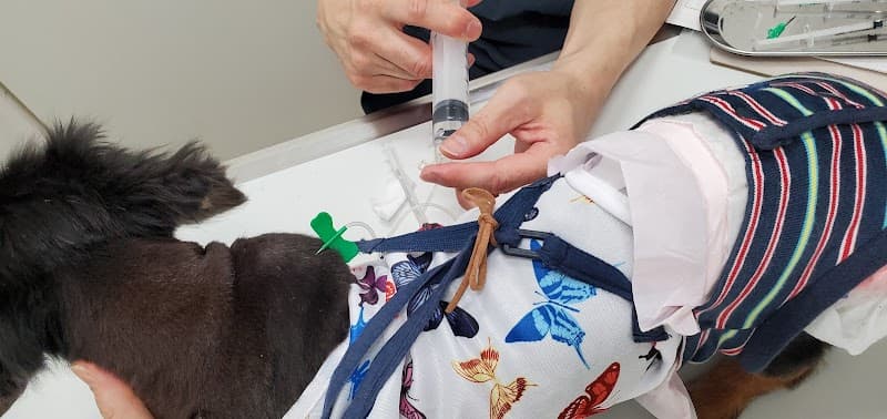 オリーブ動物病院