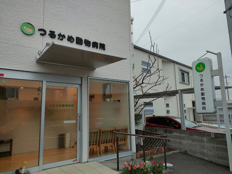 つるかめ動物病院