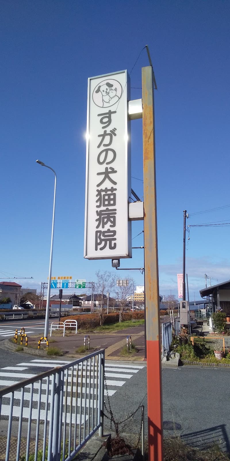 すがの犬猫病院