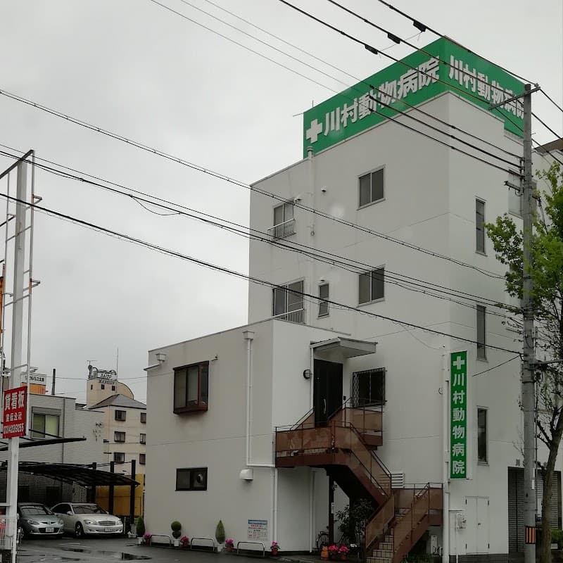 川村動物病院