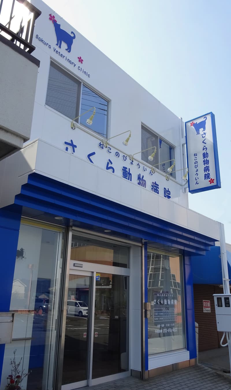 ねこのびょういん さくら動物病院