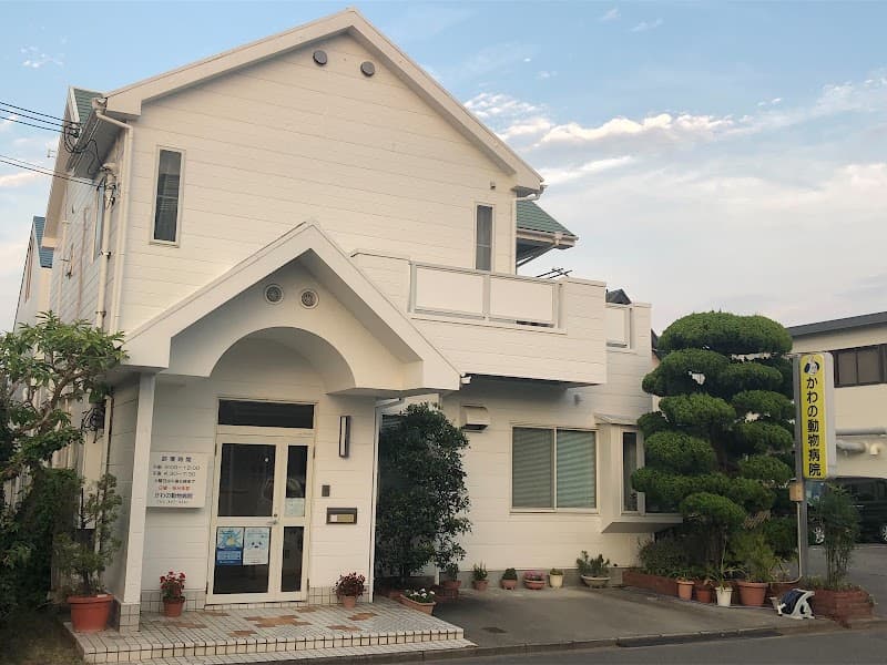 かわの動物病院