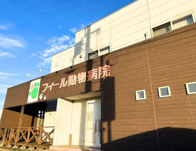 フィール動物病院