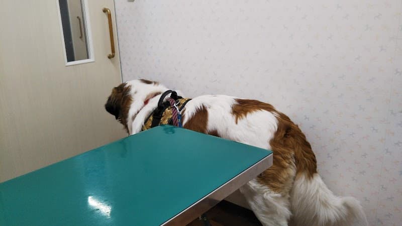 ピア動物病院