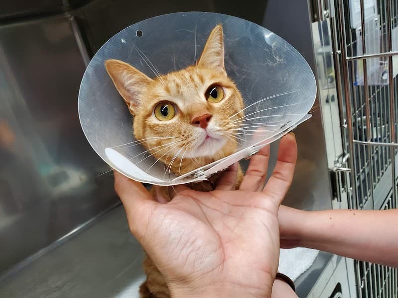 トリニティアニマルクリニック