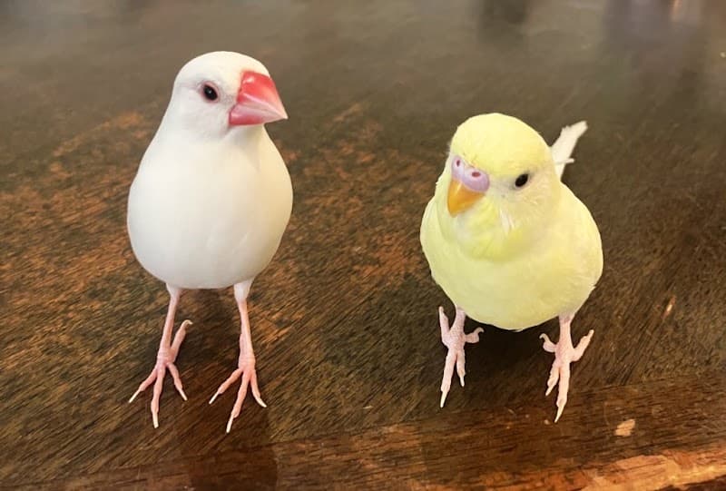 さつき台動物病院