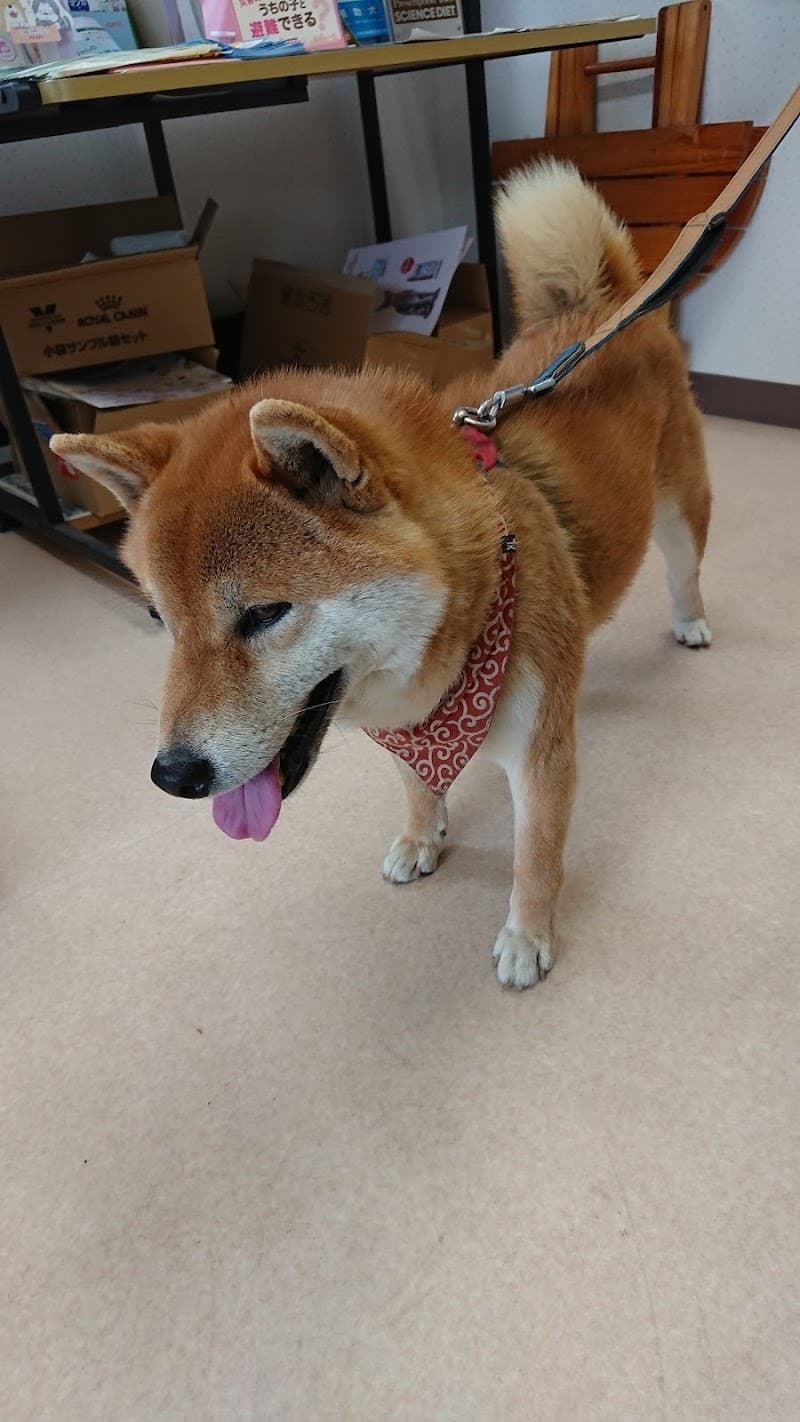 吉岡犬・猫クリニック