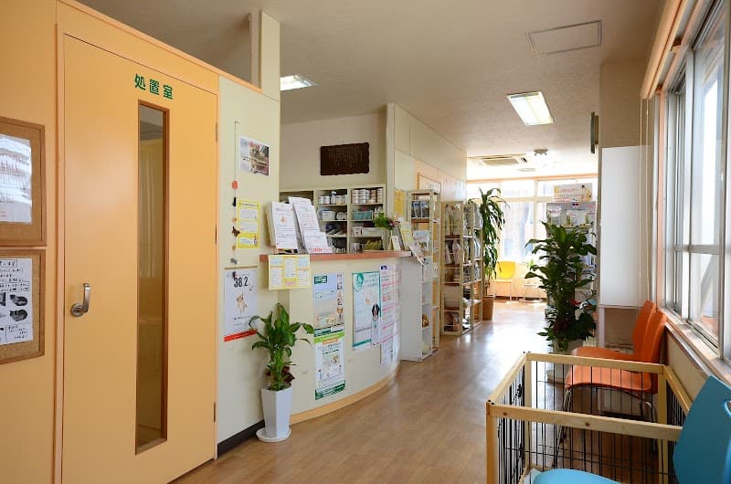 あいん猫と犬の病院