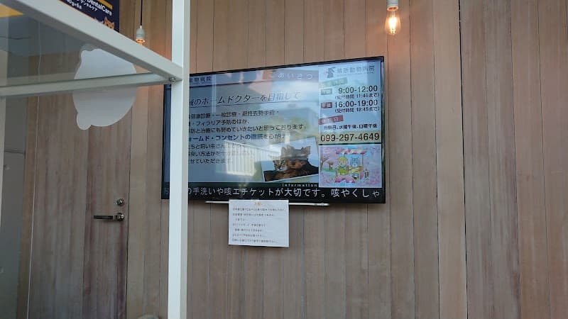 紫原動物病院