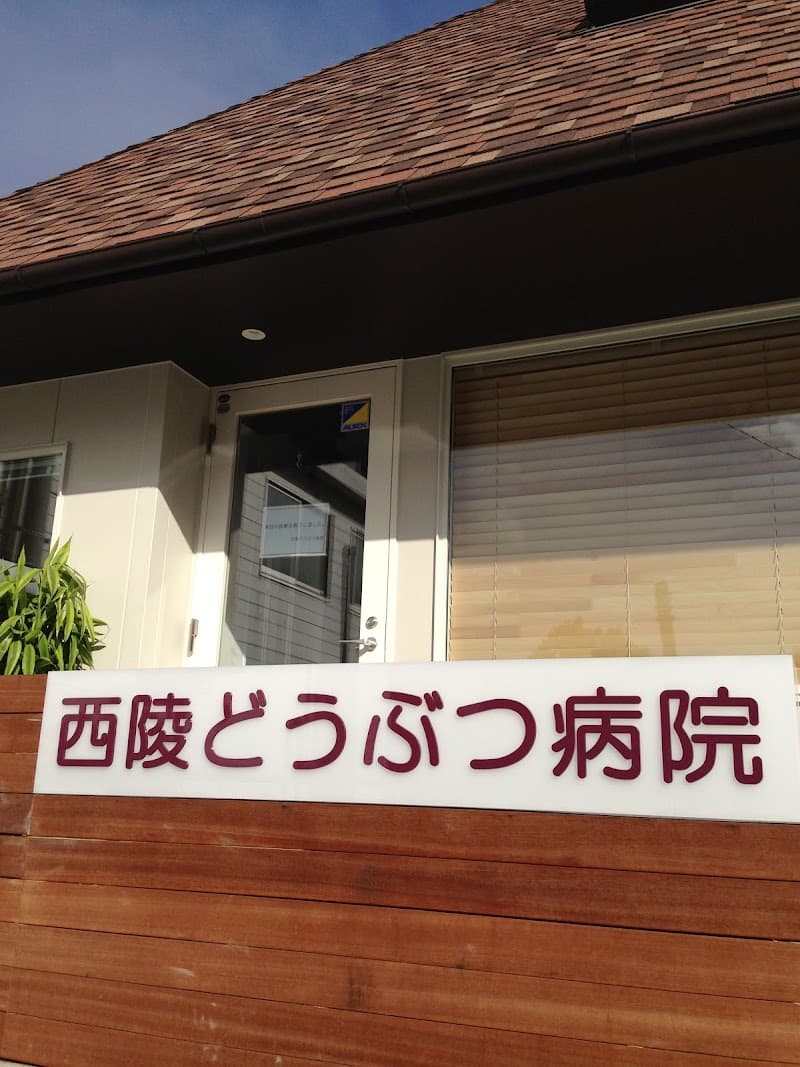 西陵どうぶつ病院