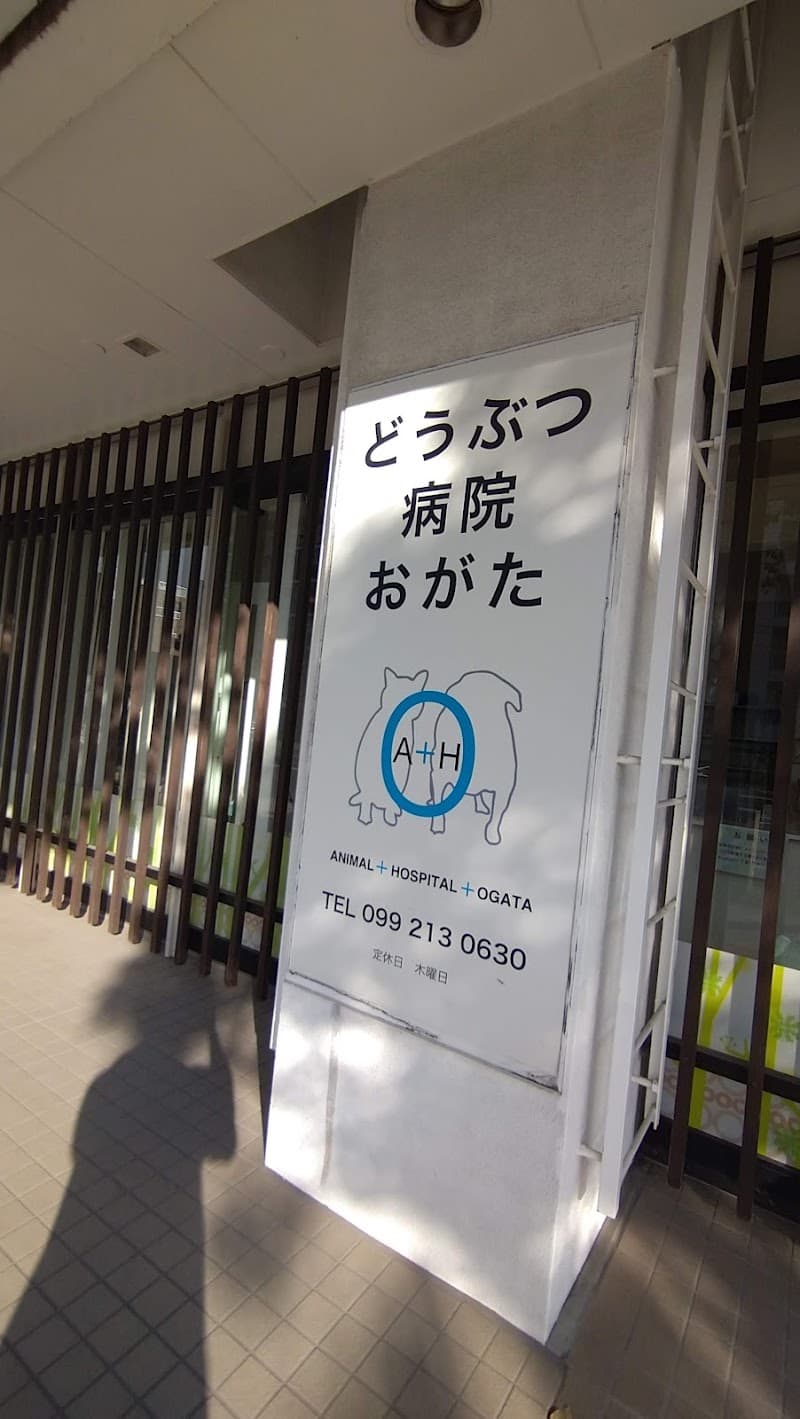 動物病院おがた