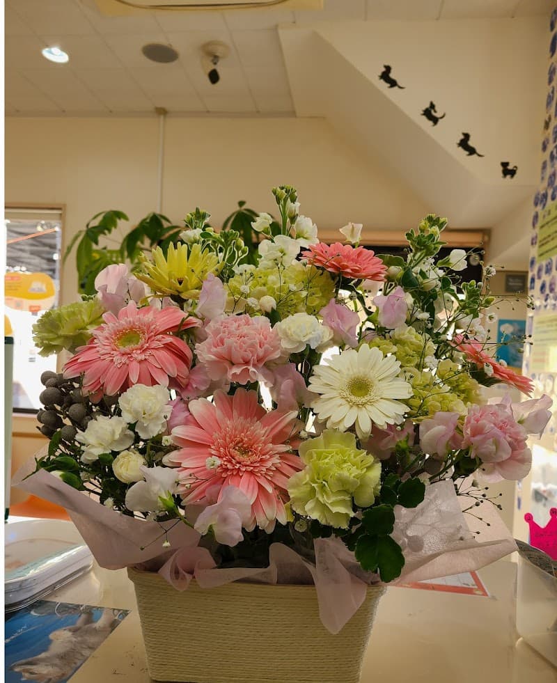 あらた動物病院