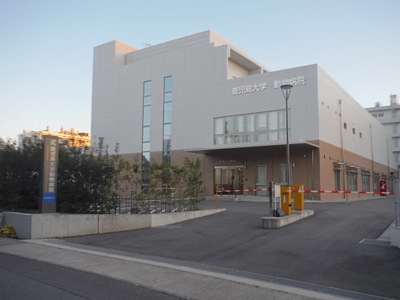 鹿児島大学 動物病院