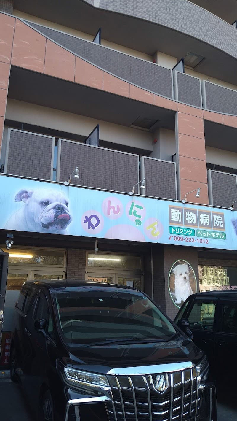わんにゃん動物病院