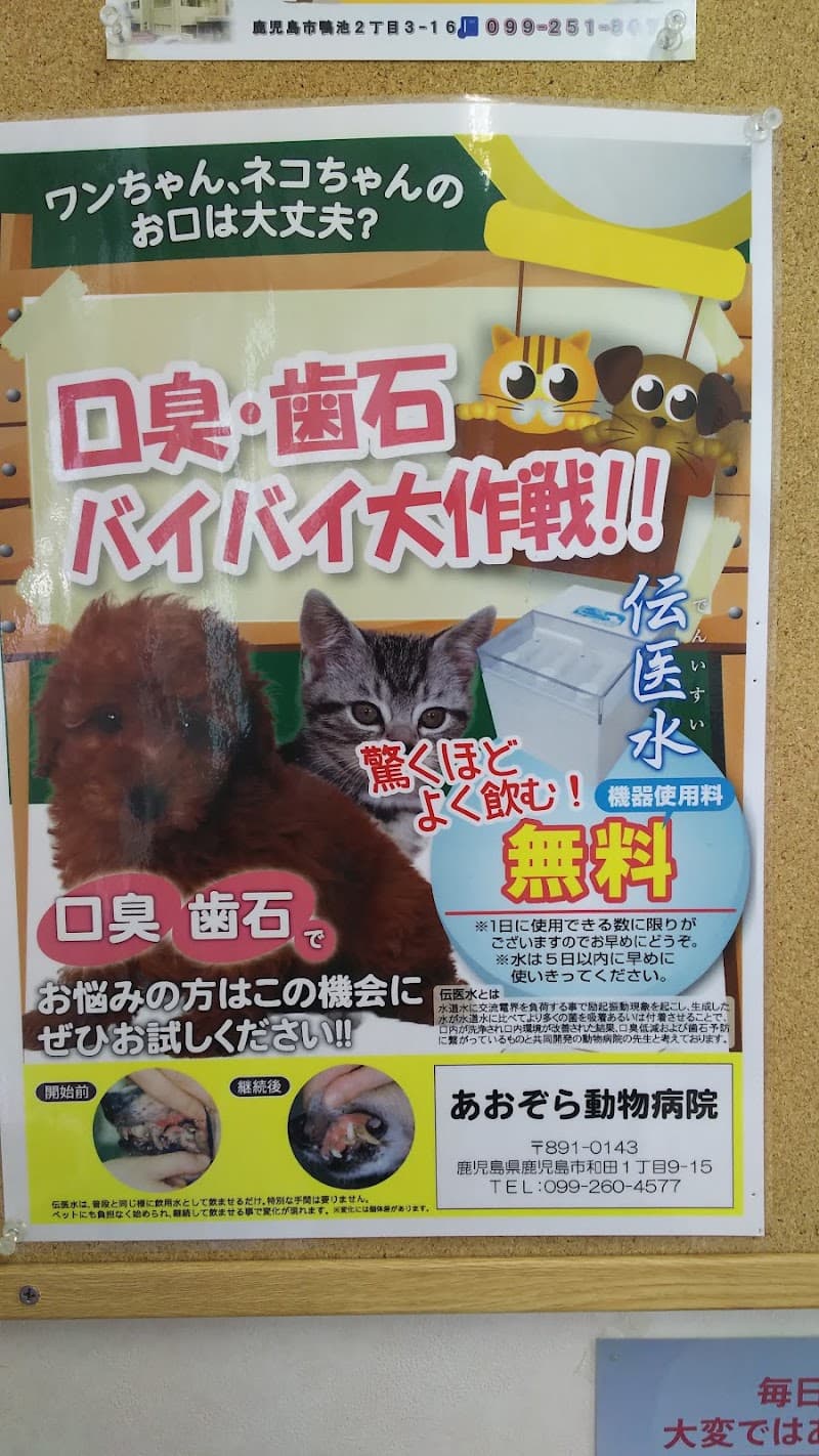 あおぞら動物病院