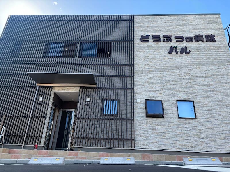 どうぶつの病院バル